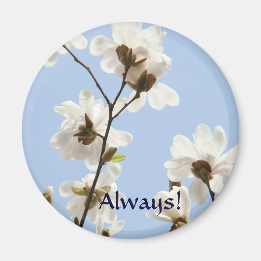 Altijd! magneet Witte Magnolia Bloemen Lente (Voorkant)