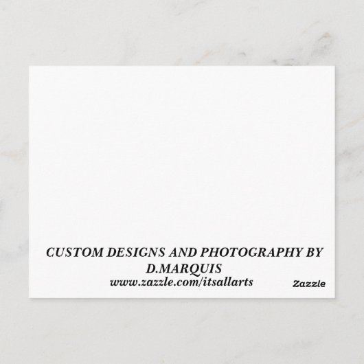 ALTIJD MOOI #6 BRIEFKAART (Achterkant)