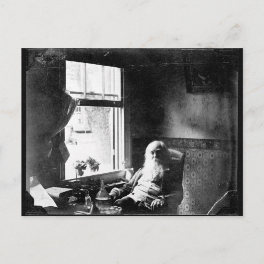 Altijd naar de zon kijken: Whitman bij Mickle St. Briefkaart (Voorkant)