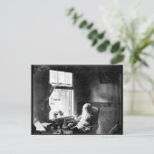 Altijd naar de zon kijken: Whitman bij Mickle St. Briefkaart (Staand voorkant)