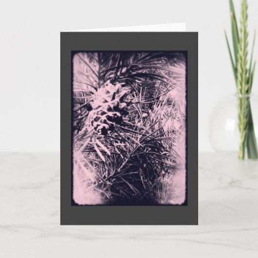 Altijdgroene 6 Kaart 3 (Voorkant)