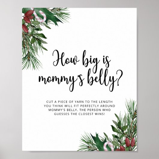 Altijdgroene hoe groot is mama's buik spel poster (Voorkant)