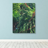 Altijdgroene naaldboom conifeer canvas afdruk (Insitu (Houten vloer))