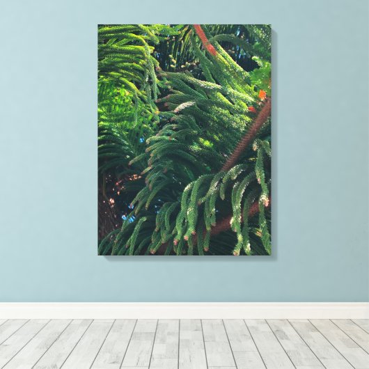 Altijdgroene naaldboom conifeer canvas afdruk (Insitu (Houten vloer))
