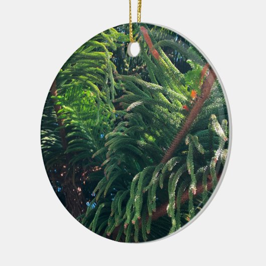 Altijdgroene naaldboom conifeer keramisch ornament (Links)