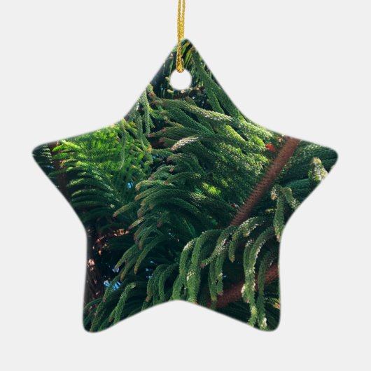 Altijdgroene naaldboom conifeer keramisch ornament (Voorkant)