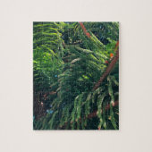 Altijdgroene naaldboom conifeer legpuzzel (Verticaal)