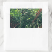 Altijdgroene naaldboom conifeer rechthoekige sticker (Tas)