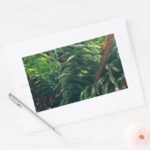 Altijdgroene naaldboom conifeer rechthoekige sticker (Envelop)