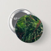 Altijdgroene naaldboom conifeer ronde button 5,7 cm (Voorkant /achterkant)