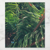 Altijdgroene naaldboom conifeer wijn etiket (Enkel label)