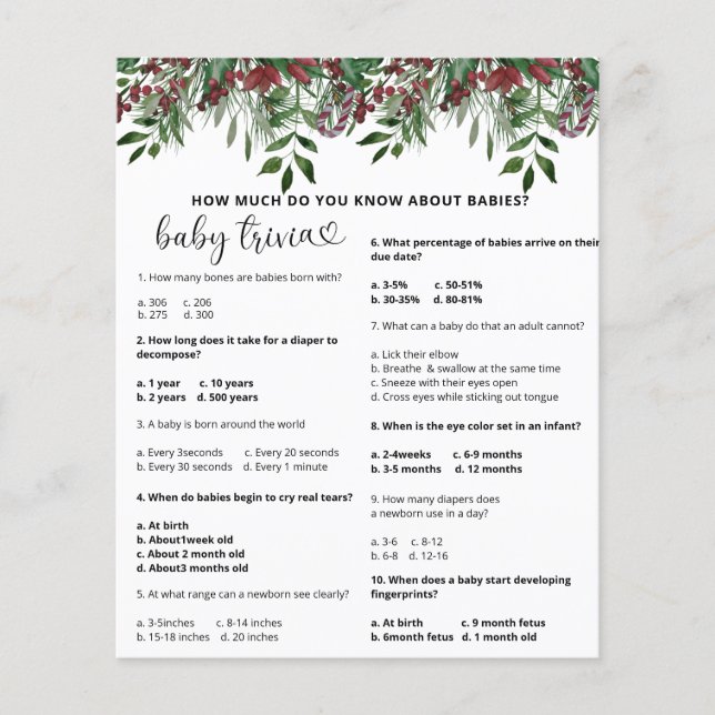 Altijdgroene Sneeuwbaby Trivia | Baby Shower Spel (Voorkant)