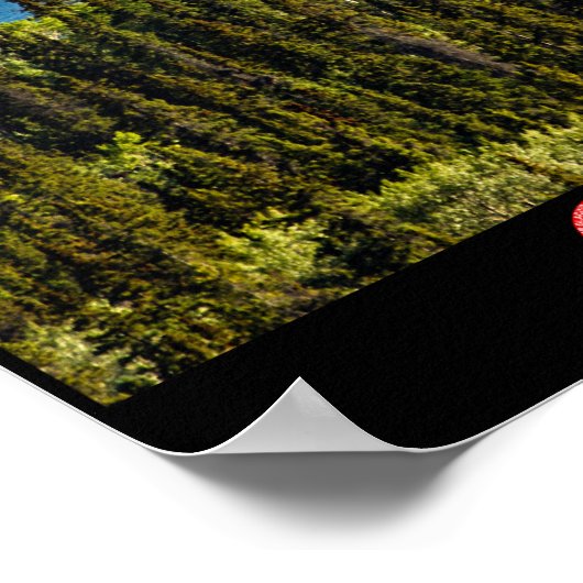 Altin Lake en het Poster van de Juneau Icefield (Hoek)