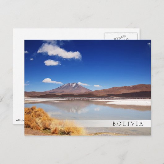 Altiplano-landschap met vulkaan in Bolivia Briefkaart (Voorkant / Achterkant)