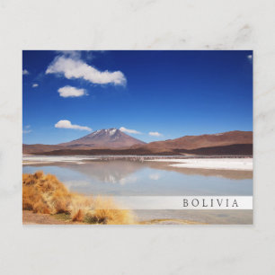 Altiplano-landschap met vulkaan in Bolivia Briefkaart