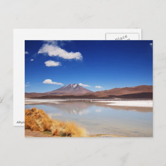 Altiplano-landschap met vulkaan in Bolivia Briefkaart (Voorkant / Achterkant)