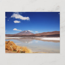 Altiplano-landschap met vulkaan in Bolivia Briefkaart