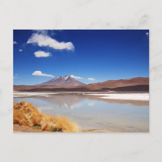 Altiplano-landschap met vulkaan in Bolivia Briefkaart (Voorkant)