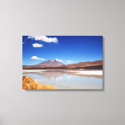 Altiplano-landschap met vulkaan in Bolivia Canvas Afdruk (Voorkant)