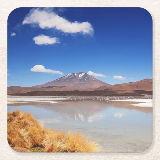 Altiplano-landschap met vulkaan in Bolivia Kartonnen Onderzetters (Voorkant)