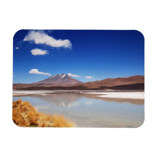 Altiplano-landschap met vulkaan in Bolivia Magneet (Horizontaal)