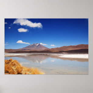 Altiplano-landschap met vulkaan in Bolivia Poster