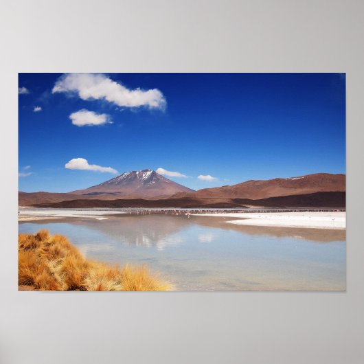 Altiplano-landschap met vulkaan in Bolivia Poster (Voorkant)