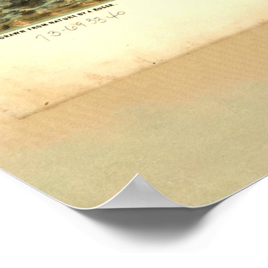 Alton, Illinois (1867) Poster (Hoek)