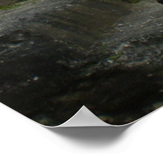 AltonijnHa Mayan Ruins Poster (Hoek)