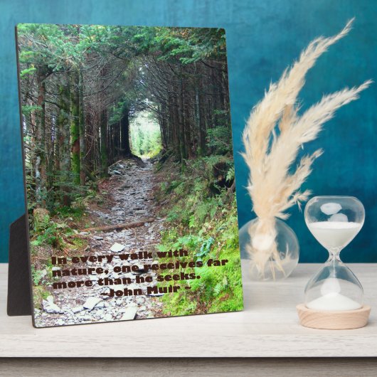 Alum Cave Trail: Elke wandeling met natuur.. John  Fotoplaat (Zijkant)