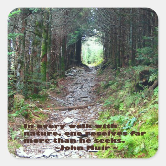 Alum Cave Trail: Elke wandeling met natuur.. John Vierkante Sticker (Voorkant)