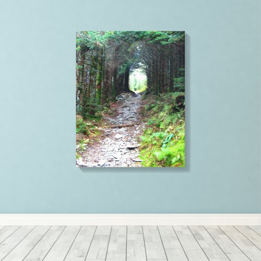 Alum Cave Trail op Mt. LeConte Canvas Afdruk (Insitu (Houten vloer))