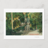 Alum Rock Park Picnic Grounds Vista Uitzicht Briefkaart (Voorkant)