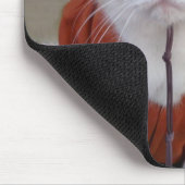 Alumni Bubba Muismat (Hoek)