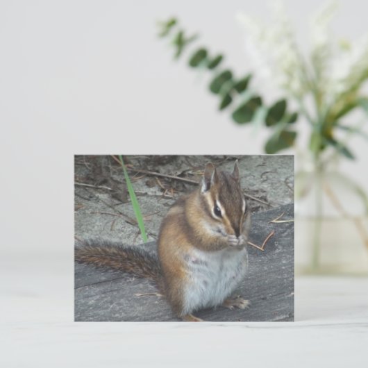 Alvie the Chipmunk Briefkaart (Staand voorkant)