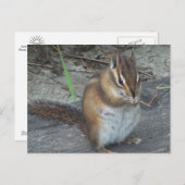 Alvie the Chipmunk Briefkaart (Voorkant / Achterkant)