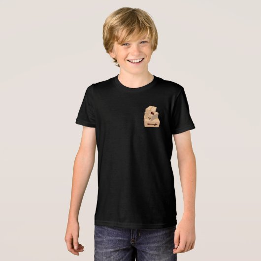 Always Deliver Tri-Blend Shirt (Voorkant volledig)
