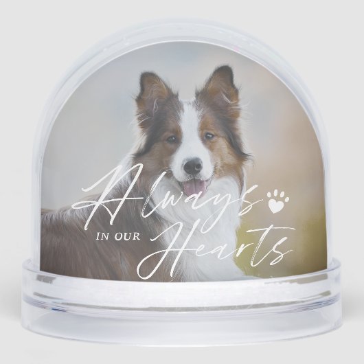 Always In Our Hearts Pet Photo Memorial Keepsake Sneeuwbol (Voorkant)