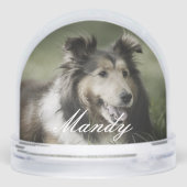 Always In Our Hearts Pet Photo Memorial Keepsake Sneeuwbol (Achterkant)