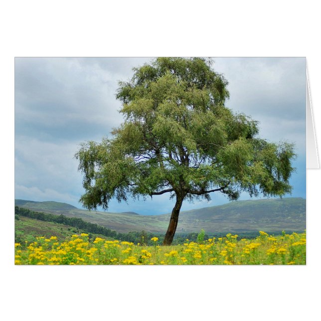 Alweer (Voorkant Horizontaal)