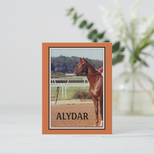 Alydar Belmont Stakes Post Parade 1978 Briefkaart (Staand voorkant)