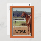 Alydar Belmont Stakes Post Parade 1978 Briefkaart (Voorkant / Achterkant)