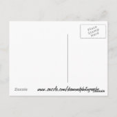 Alydar Belmont Stakes Post Parade 1978 Briefkaart (Achterkant)