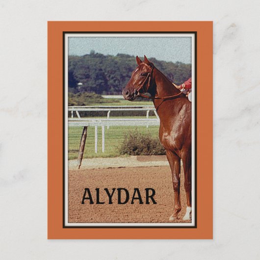 Alydar Belmont Stakes Post Parade 1978 Briefkaart (Voorkant)