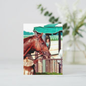 Alydar Thoroughbred 1979 Briefkaart (Staand voorkant)