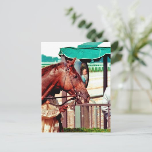 Alydar Thoroughbred 1979 Briefkaart (Staand voorkant)