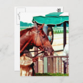 Alydar Thoroughbred 1979 Briefkaart (Voorkant / Achterkant)