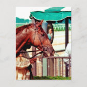 Alydar Thoroughbred 1979 Briefkaart (Voorkant)