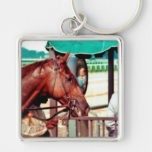 Alydar Thoroughbred 1979 Sleutelhanger (Voorkant)