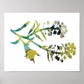 Alyssum Poster (Voorkant)